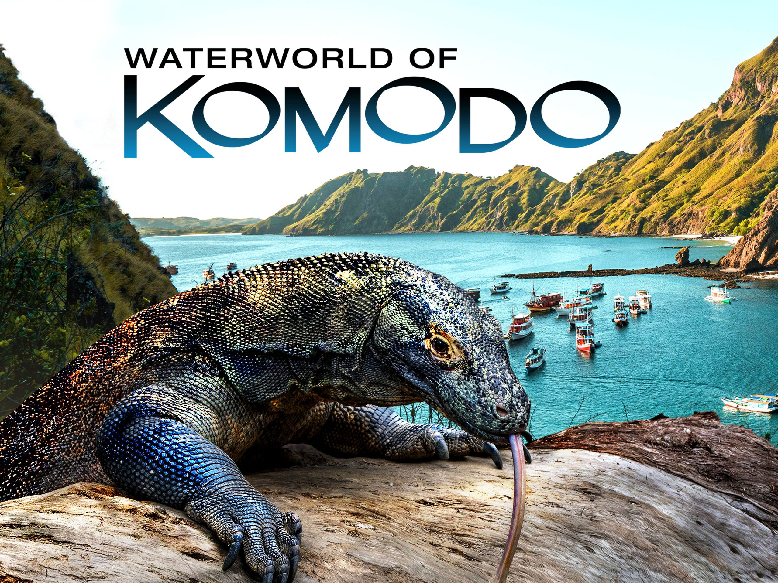 Комодо: морський світ